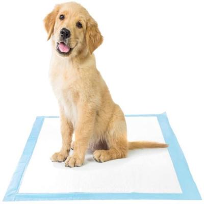 China Leak Proof Disposable Stored Quick-Drying Dog Urine Pad , Dog Pee Pad Puppy Training Pad for sale