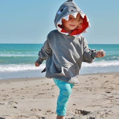 China Cute Breathable Autumn Pullover Hoodies For Boy Children Clothing Children Clothing Wholesale Bulk for sale