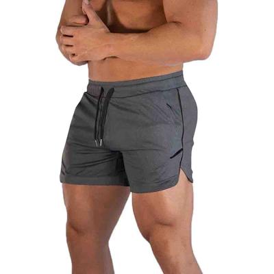 China Shinesia Anti-Wrinkle Men's Shorts 3 Inch Plus Size With Drawstring Waist Pocket Elastic Fit Gym Mesh Casual Shorts for sale