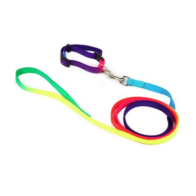 China Modern Viable Design Unique Rainbow Style Easy Use Dog Collar Leash, Retractable Dog Leash for sale