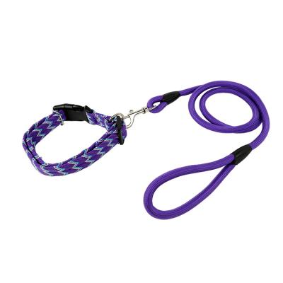 China Durable Strong 150cm Dog Leash with Comfortable Padded Handle and Highly Reflective Leads for Medium and Large Dogs for Puppy for sale