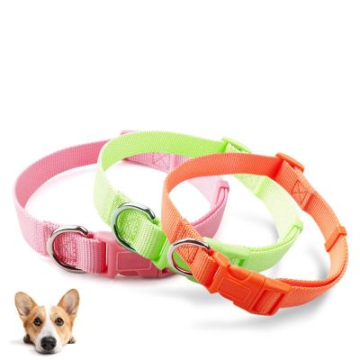 China Dog Collar Designer Solid Adjustable Puppy Novelty Basic Viable Nylon Pet Collars With ID Tag for sale