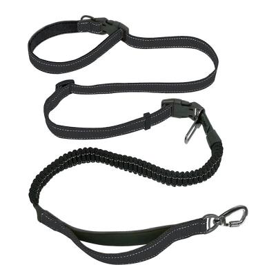 China Multi-colors Viable Nylon Bungee Wholesale Hands Released Manufacturer Dog Running Leash for sale