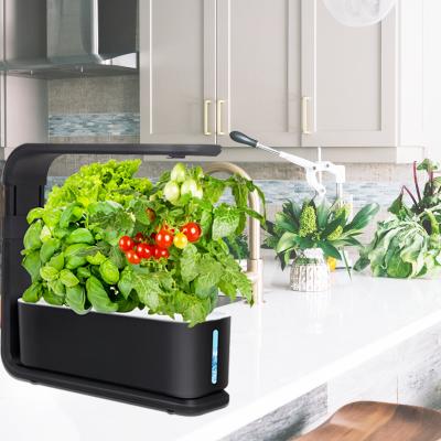 China Brimmel Home Hydroponics Plant Pots For Herb Grow Light Hydroponics Growing Home Gardening Smart System for sale