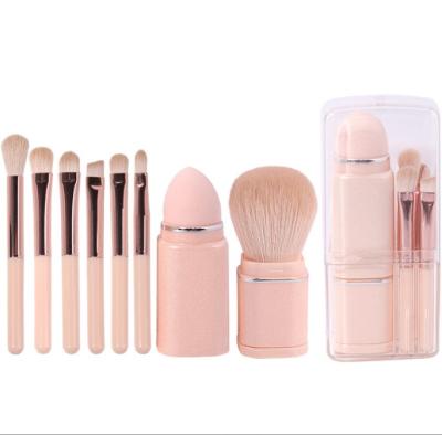 China New Portable Soft Touch Makeup Brush Retractable 8 in 1 Mini Travel Makeup Brush Set Custom Gift for Women for sale