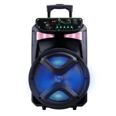 China Wireless Charger For Mobile Phone 12 Inch Portable Trolley Speaker High Power Wireless Blue Tooth Outdoor Speaker For Karaoke/Party MD9-12L for sale