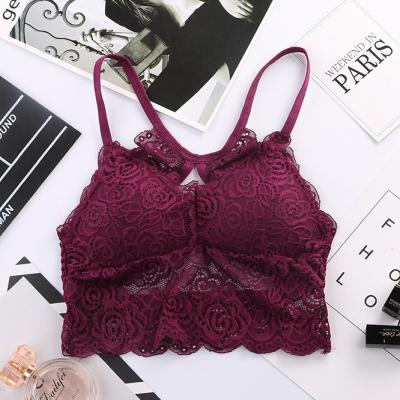 China New Antibacterial Wire Free Bra Set Vest Halter Bras Women Lingerie Set Green Embroidery Lace Underwear Sets for sale