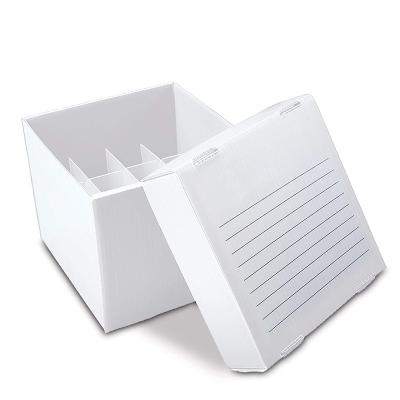 China Recyclable Custom Colored A4 Size Corrugated Plastic Document File Organizer Box for sale