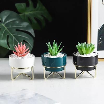 China Modern Simple Creative Succulent Planter With Metal Frame Combination Plant Potted Ceramic Pots for sale