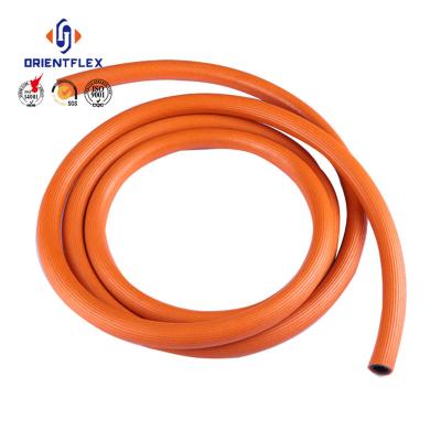 China Conveying LPG/PVC/Gas Liquid Flexible Gas Hose and Gas Kitchen Hose for sale