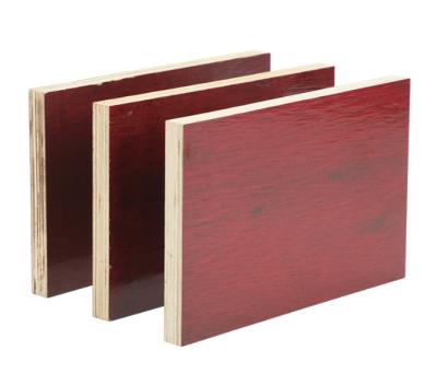 China Eucalyptus Moisture Proof/Waterproof/Insect Repellant/Rust Proof Best Quality 3mm Thick Eucalyptus Commercial Plywood for sale