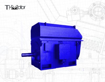 China Long Lifespan High Voltage AC Motor Air Cooled For Industrial Needs zu verkaufen