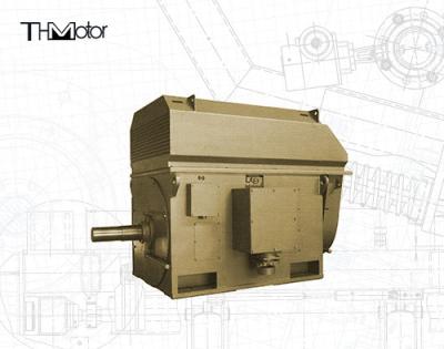 中国 IEC GBの圧延製造所の傷回転子のタイプ誘導電動機6000kw 販売のため