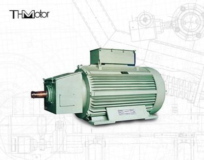 China Anwendungs-Crane Duty Slip Ring Special-Anwendungs-Motoren H IP54 YZ metallurgische zu verkaufen