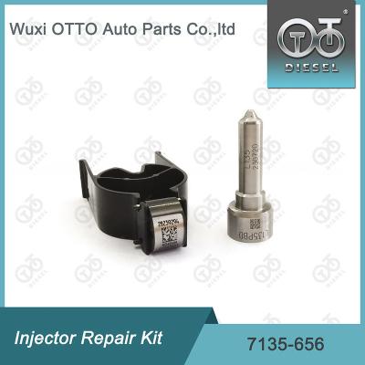 China 7135-656 Delphi Injector Repair Kit For R00504Z met Pijp L135PBD Te koop