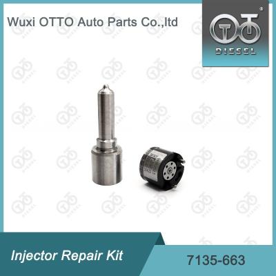 China 7135-663 Delphi Injector Repair Kit Nozzle-Valve Kit Nozzle-CVA Kit for sale