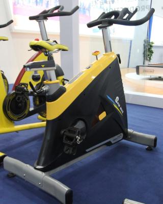 China Home Use CE Approved Spinning Head Cardio Bike for sale