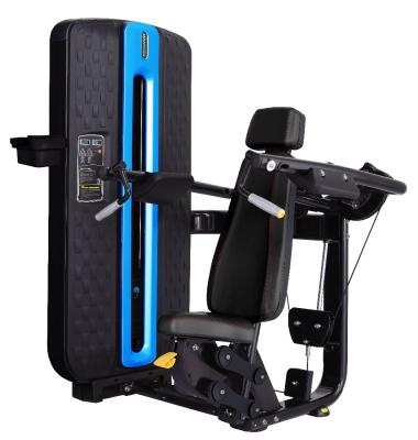 China Sports and Entertainment Fitness Body Building Delt Machine 1000kg for sale