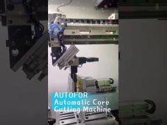 Automatic cutting machine