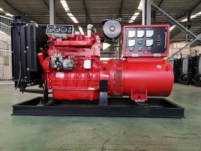 Chine groupe électrogène diesel de 40KW 50KVA pour la maison alimenté par le moteur diesel K4100D de Ricardo à vendre