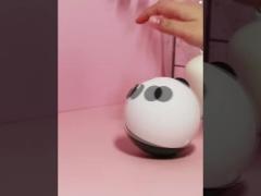 Home Decoration Night Light Mini Cute Panda Cartoon Bed Desk Table Lamp Sleeping Gift