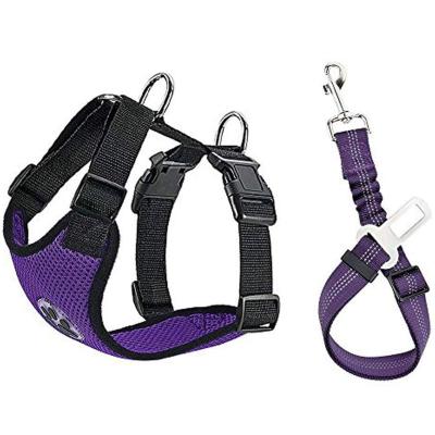 China Competitive Price Padded Leash Dog Seat Belt Leash For Dogs for sale