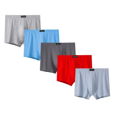 China EC1029 Antibacterial Loose Oversized Men's Briefs And Boxers Set 5 Pack Plus Size Underwear Cotton Panties Shorts High Quality Briefs Pants for sale