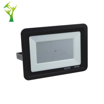 China LANDSCAPE Super Bright High Power Ip66 Bridgelux Smd 300W Wall Mounted Waterproof LED Flood Light for sale