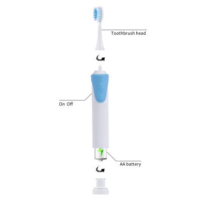 China Teeth Cleaner ToothClean Battery Operated 4 Replaceable Toothbrush Heads Home Use Electric Toothbrush for sale