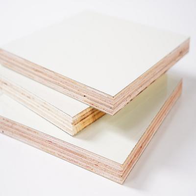 China Modern Poplar, Hardwood or Combi Core White, Grey, Wooden Grain HPL Laminated Plywood Boards for Cabinet for sale