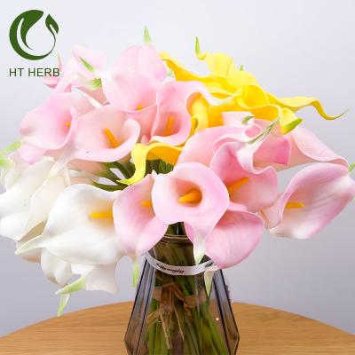 China Plastic Flower Plant Calla Lily Decorative Decoration For Plastic Flower for sale