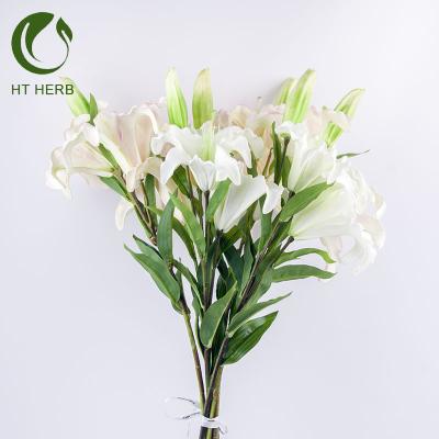 China Plastic Flower Plant Flower Lily Decorative Decoration For Plastic Flower Valentine's Day for sale