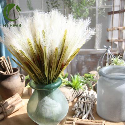 China Dry grass maomao plant artificial flowers dry grass maomao plant dried colorful for wedding decoration for home decoration for sale