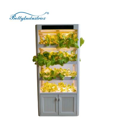 China Grow Seed Indoor Vegetable Planter Seedling Soilless Vegetable Planter for sale