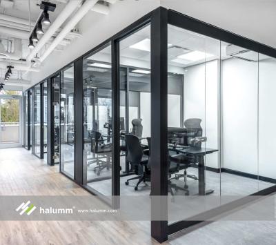 China Modern Tempered Clear Aluminum Double Glass Profile Office Partition Wall 6+6mm for sale