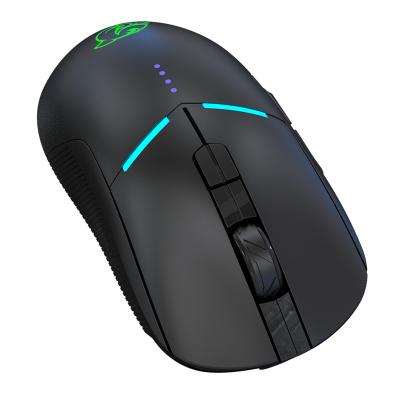 China DOUYU DMW150 Gaming Wired/Daul Modes Wireless Backlit Rechargeable Gaming Mouse RGB Upright Mouse For Professional Gamers for sale