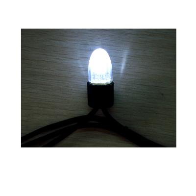 China Commercial use factory direct high brightness decorative led light string power supply light string for sale