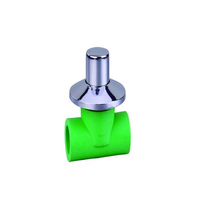 China Popular Cheap Hot Water Price Breaking Life Standard Fabricate Plastic Female PPR Copper Pipe Press Brass Fittings For Pipes for sale