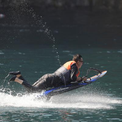 China Unisex elektrisches Surfbrett Das Muss für Sommersportler zu verkaufen