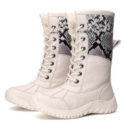 China Cushioning Warm Sale Snow Boots Women Winter Waterproof Boots With Fur Slip-Resistant Platform Winter Shoes Women Thick Plush Warm Boots for sale