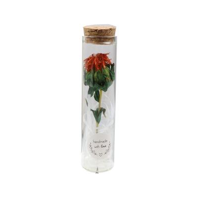 China 2021 New Folding OEM Designed Preserved Flower Oil Herbarium Glass Decoration Dry Bottle for sale