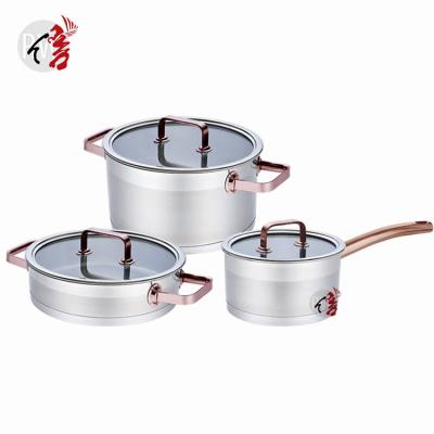 China Sustainable Realwin Rose Gold Color Handle Straight Shape Stainless Steel Cookware Cooking Pots And Pans Set for sale