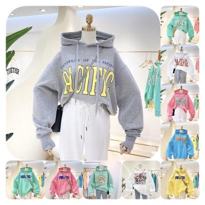 China Anti-pilling 2024 new autumn and winter Korean women's sweater round neck sweater loose wholesale large for sale