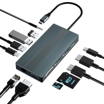 China USB C Type-C Hub Enabled 12 Devices In 1 Type C Laptop Portable USB PD 100W Dual 4K HD MI Type C Hub for sale