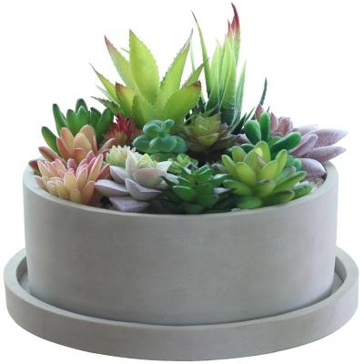 China Simple design modern nordic indoor succulent green planter with tray cement cactus flower pot for home decor for sale