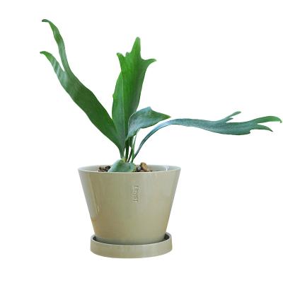 China New arrival modern simple style ceramic green plant pot with saucer for garden decor for sale