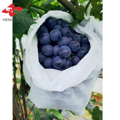 China Anti-pull agriculture pp spunbond nonwoven fabric rolls agriculture plant cover for fruit protection bag plant bag flower bag for sale