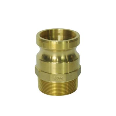 China Camlock Type F NPT Thread Liquid Transport Forging Brass Material Male Connection for sale