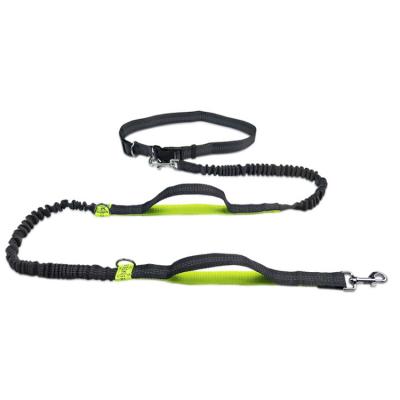 China Wholesale Pre-detached Strong Thoughtful Hands Durable Dog Bungee Dog Leash for sale