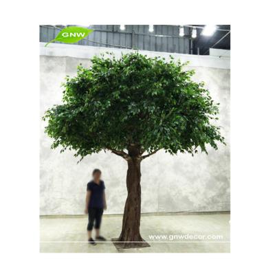 China GNW BTR027 Durable Artificial Ficus Microcarpa Tree Green Tree For Hotel Decoration for sale